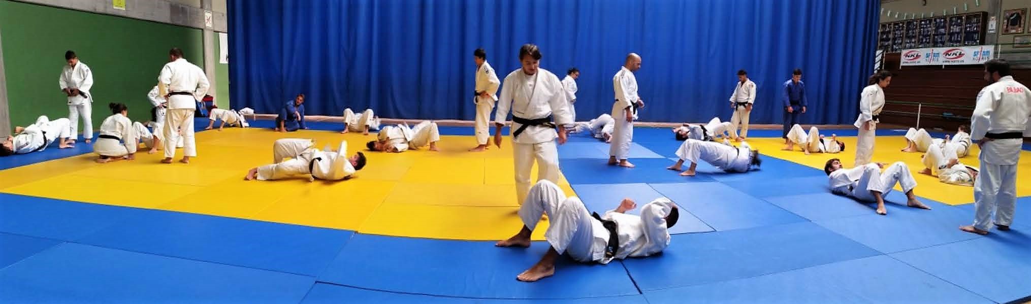 CURSOS-DE-TITULACIÓN-DE-JUDO-E-DEPORTES-ASOCIADOS-–-A-CORUÑA-2017-1.1